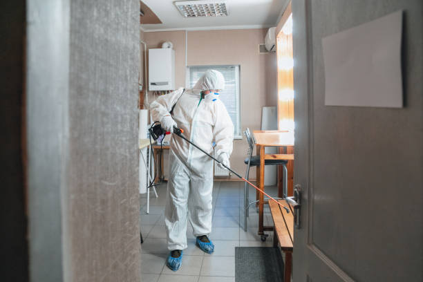 Best Mold Odor Removal Services  in Four Bridges, OH